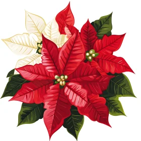 Red and Cream Poinsettia with Green Leaves