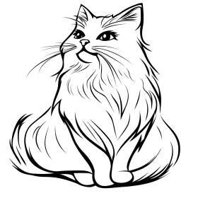 Minimalist Cat Line Drawing