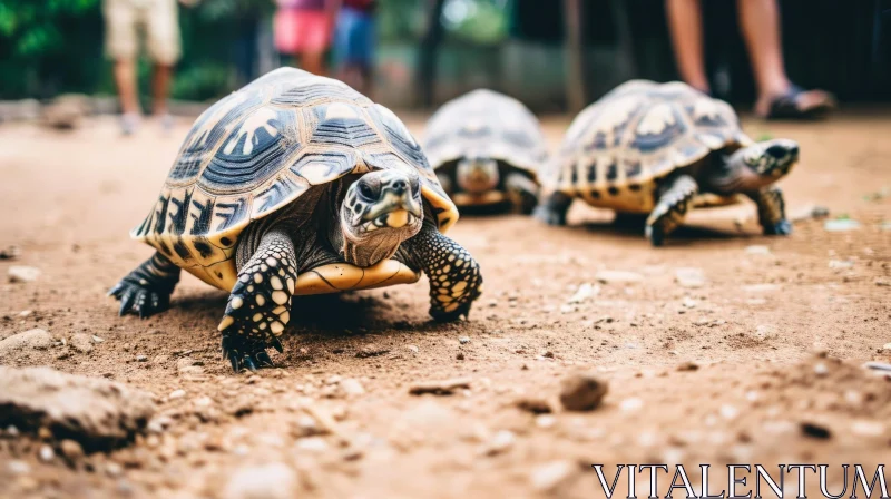 Captivating Image of Turtles Crawling on Dry Ground AI Image