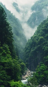 Mystical Forest River Among Misty Mountains