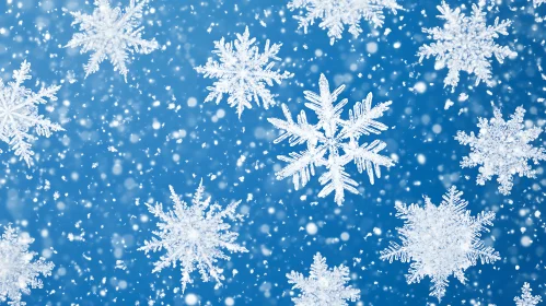 Exquisite Snowflakes Displaying Natural Beauty