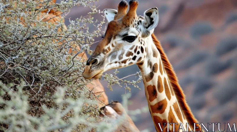 Close-up of Giraffe Eating Leaves - Wildlife Photography AI Image