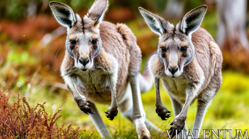 Captivating Image of Kangaroos Running in a Green Field AI Image