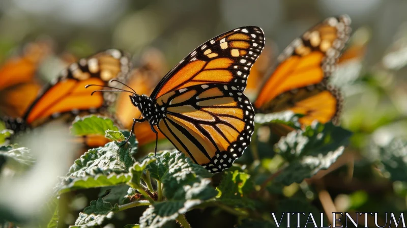 Graceful Monarch Butterfly on Green Leaf - Nature's Artistry AI Image