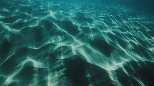 Illuminated Ocean Floor Underwater