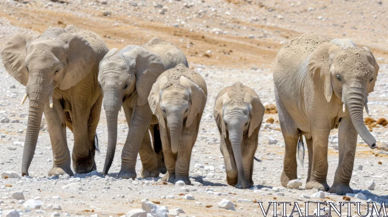 Majestic African Elephants Walking in a Dry Riverbed AI Image