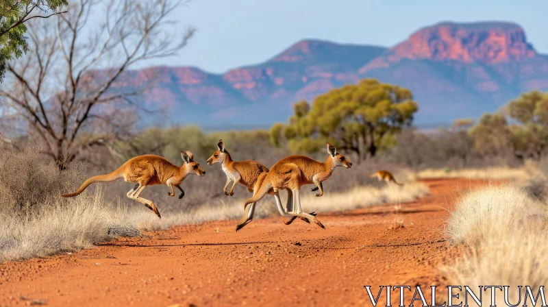 Three Kangaroos Jumping in the Desert - Captivating Wildlife Image AI Image