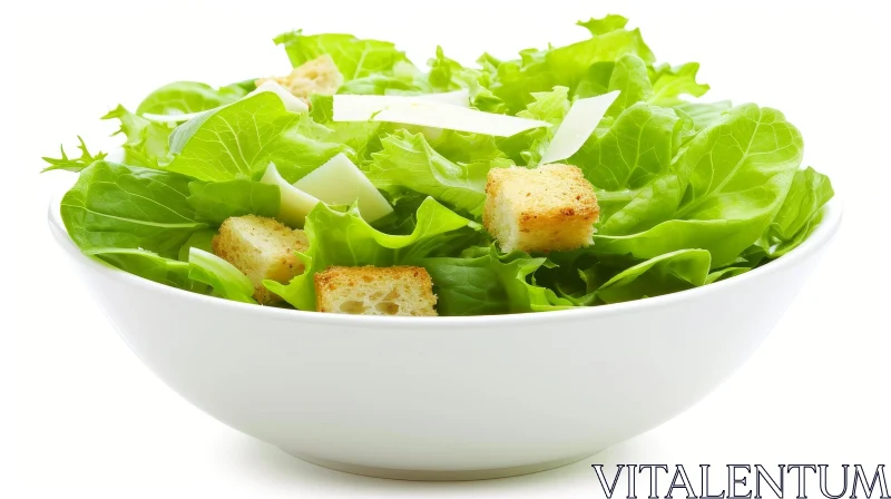 Fresh and Green Salad - Healthy and Delicious | Photograph AI Image