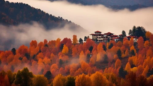Enchanting Orange Trees and House on Hillside with Colorful Fog | Cluj School Inspired