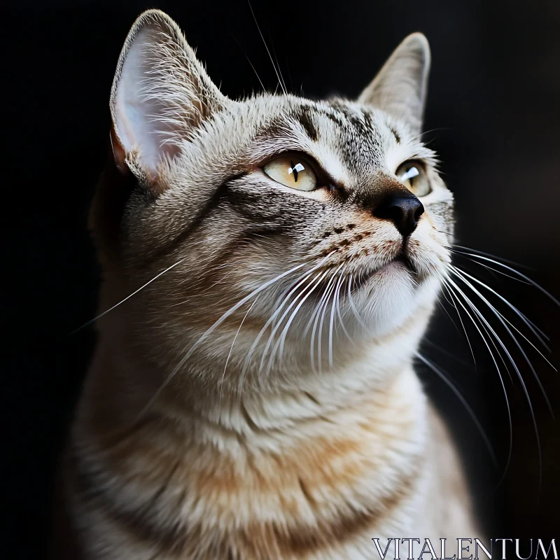 Detailed Image of a Cat with Striking Features AI Image