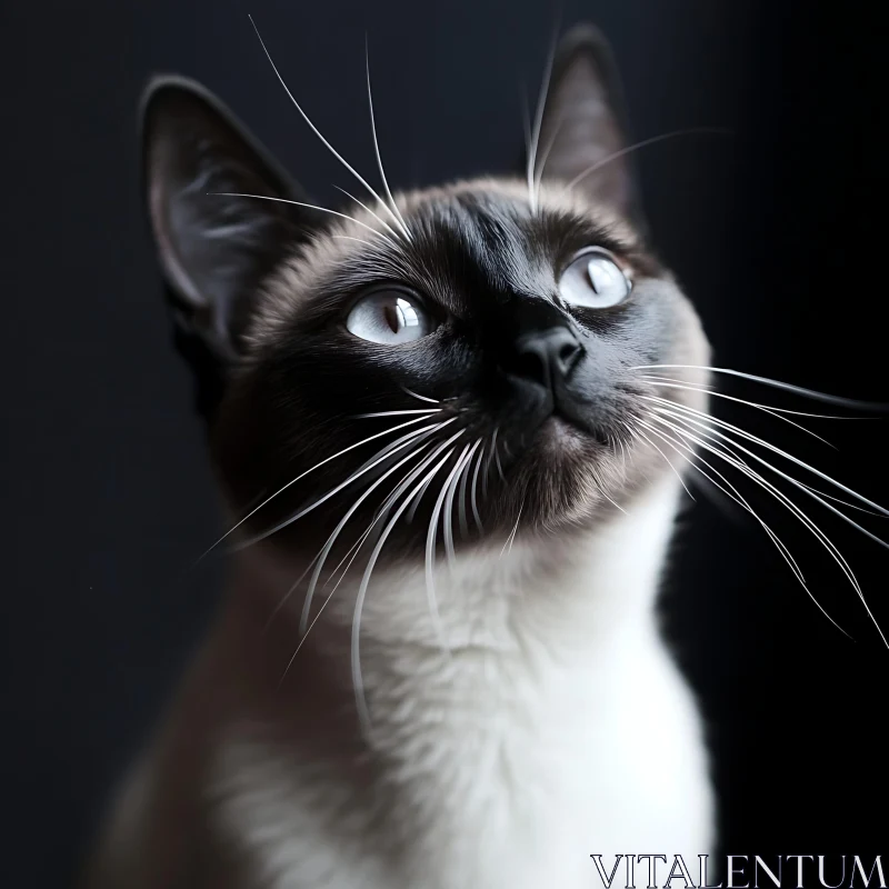 Siamese Cat with Striking Whiskers AI Image