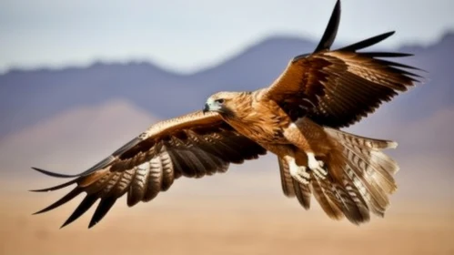 Majestic Eagle in Flight: A Breathtaking Photograph