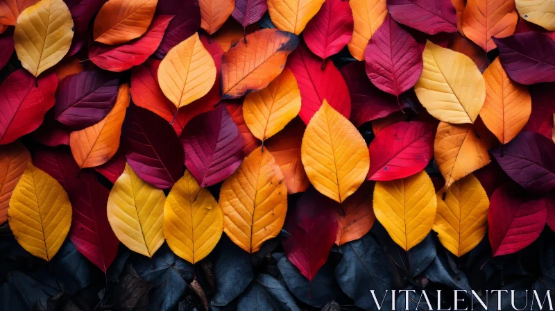 Autumn Leaves on Dark Background - Nature Inspired Art AI Image