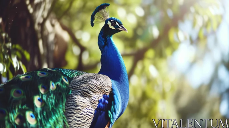 Exquisite Peacock in a Lush Green Forest AI Image