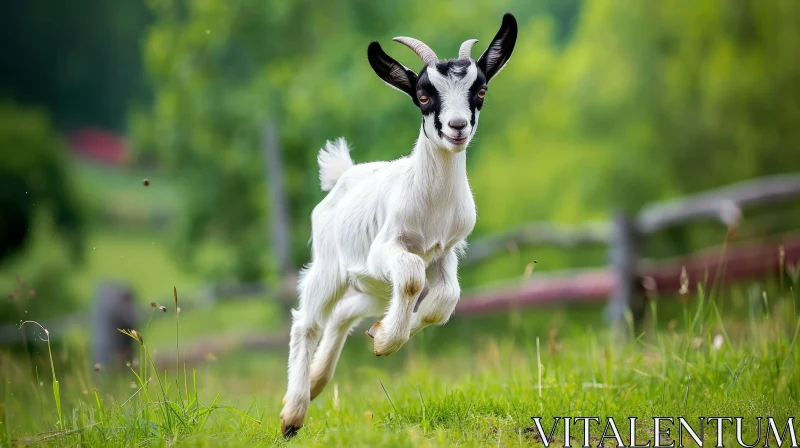 White Goat with Black Markings on Green Field AI Image