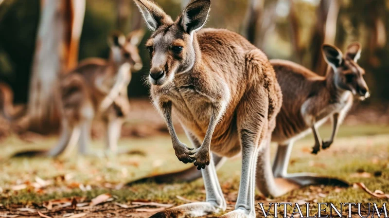 Brown Kangaroos in Forest - Wildlife Photography AI Image