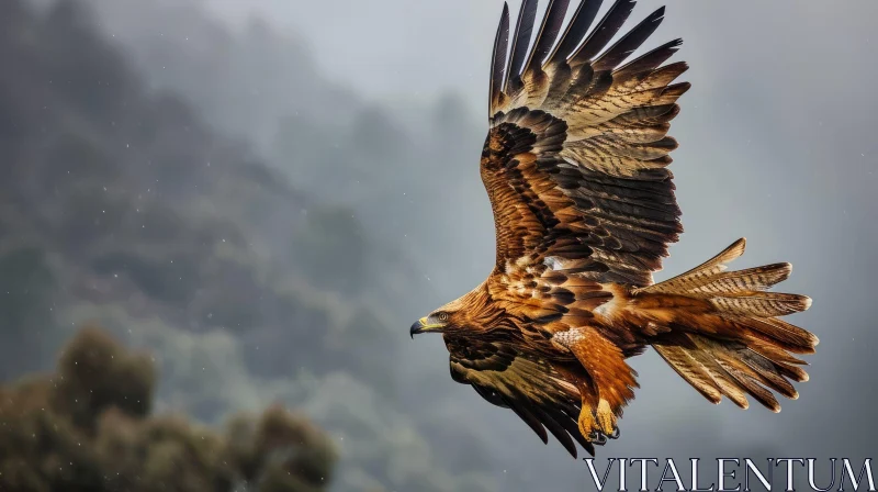 Majestic Eagle Soaring Through the Sky | Stunning Wildlife Photography AI Image