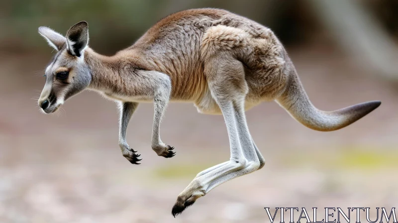 Captivating Kangaroo in Mid-Air - Stunning Wildlife Photography AI Image