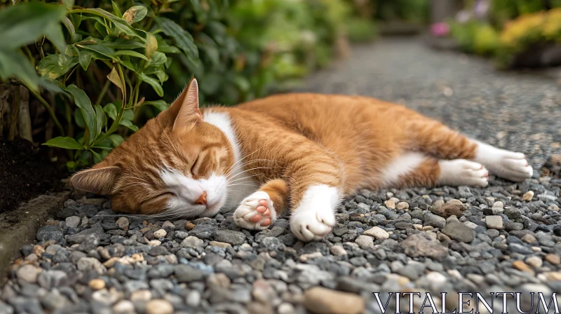 Ginger Cat Relaxing in a Garden Pathway AI Image