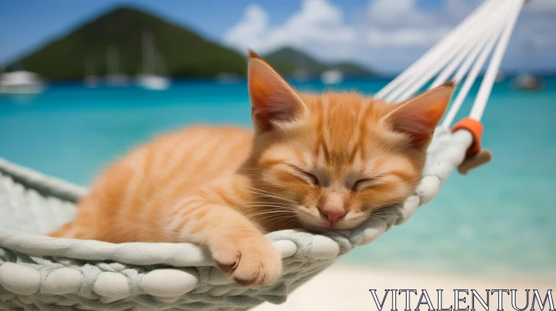 Ginger Kitten Sleeping in Hammock on Tropical Beach AI Image