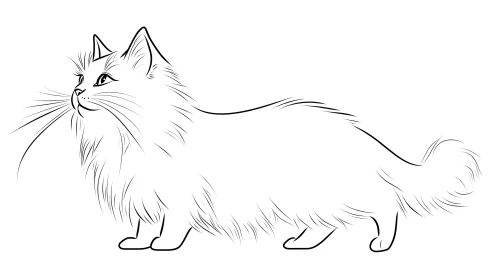 Graceful Long-Haired Cat Sketch