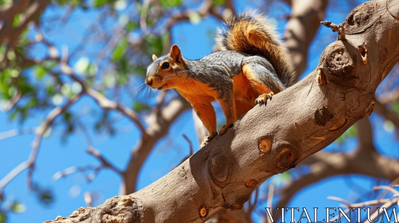 Brown and Gray Squirrel on a Tree Branch AI Image