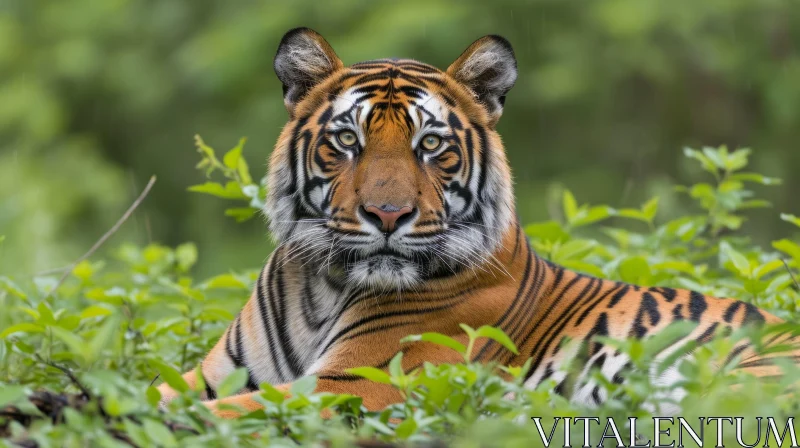 Striking Tiger Portrait in Green Forest AI Image