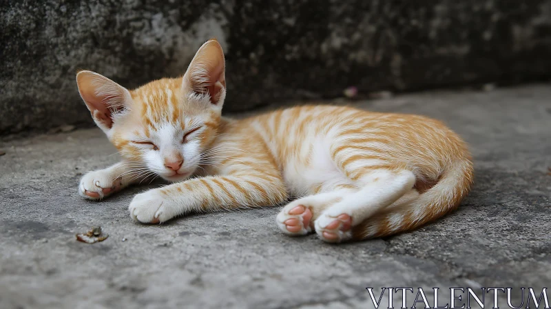 Adorable Feline Slumber on Concrete AI Image