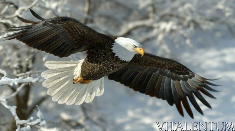 Majestic Bald Eagle in Flight: A Captivating Nature Photograph AI Image