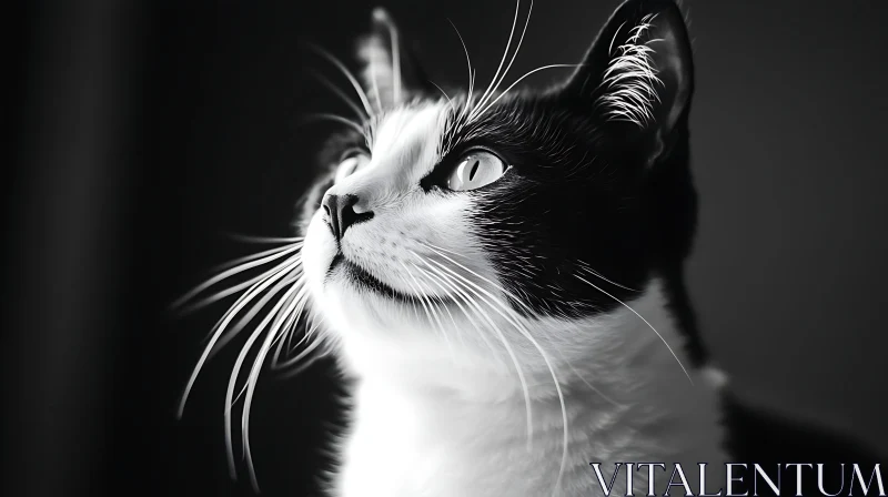 Detailed Cat Portrait in Black and White AI Image