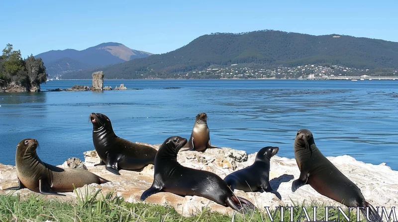 New Zealand Fur Seals in Marlborough Sounds AI Image