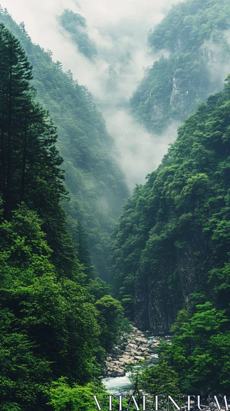 Mystical Forest River Among Misty Mountains AI Image