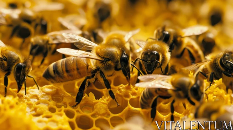 Close-Up of Bees on Honeycomb | Nature Photography AI Image