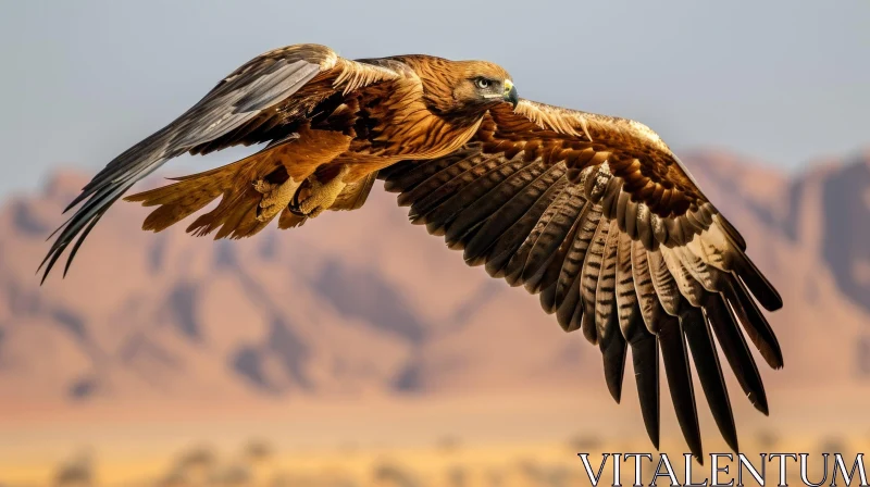 Majestic Eagle in Flight: A Captivating Nature Photograph AI Image