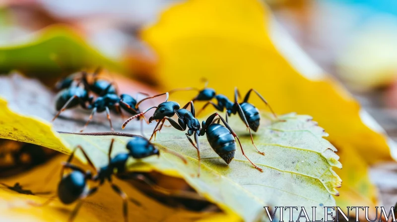 Close-Up of Black Ants on Yellow Leaf: A Captivating Nature Scene AI Image