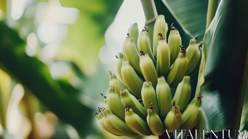 AI ART Unripe Bananas on the Tree