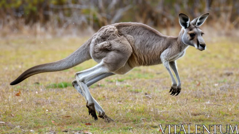 Graceful Kangaroo Leaping in a Sun-Kissed Field AI Image