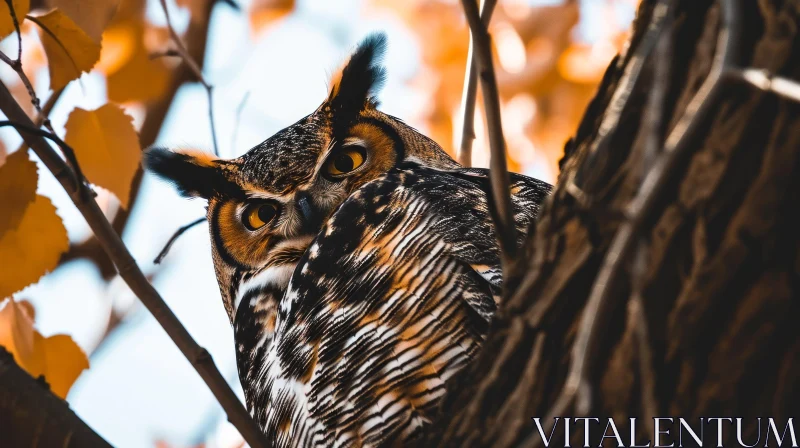 Close-up of a Majestic Owl Perched in a Tree AI Image