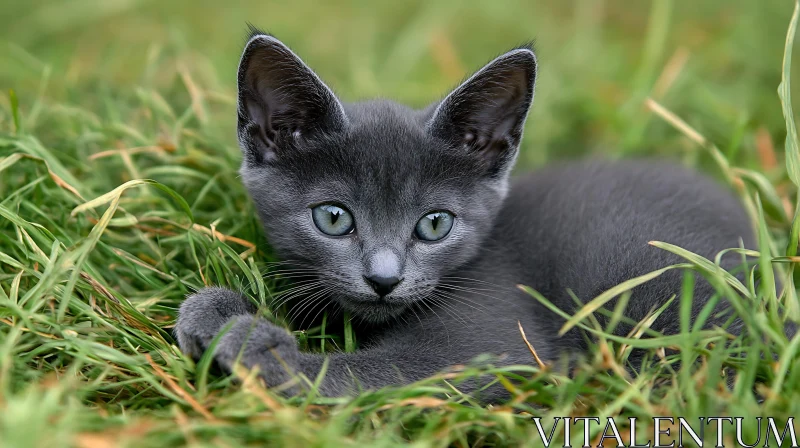 Gray Kitten in Nature AI Image