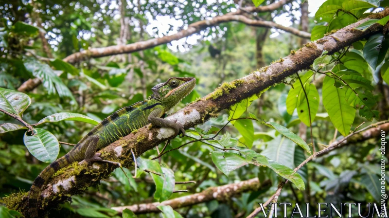 Green Iguana in Rainforest - Wildlife Photography AI Image