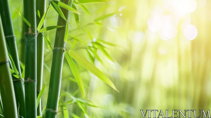 Enchanting Bamboo Forest: A Close-Up of Nature's Serenity AI Image