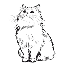 Fluffy Cat Illustration in Line Art
