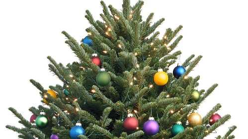 Brightly Adorned Christmas Tree with Ornaments