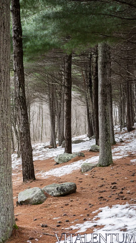 AI ART Winter Forest Landscape with Pine Trees