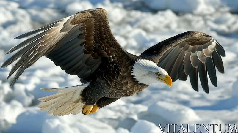 Breathtaking Bald Eagle Flying Over Snowy Landscape AI Image