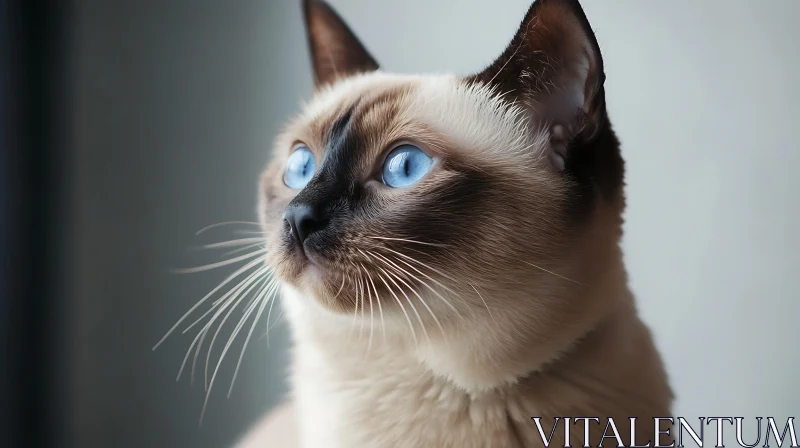 Charming Siamese Cat Close-Up AI Image