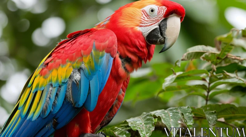 Scarlet Macaw in Rainforest: Colorful Bird in Tropical Habitat AI Image