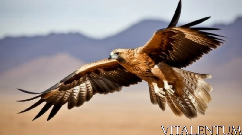 Majestic Eagle in Flight: A Breathtaking Photograph AI Image