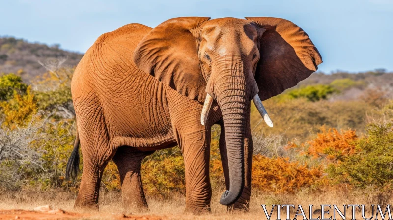 Majestic Elephant in the Wilderness | UHD Image AI Image