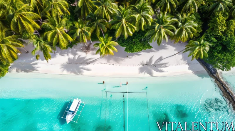 Aerial View of Beach with Palm Trees, Boat, and Coral Reefs AI Image